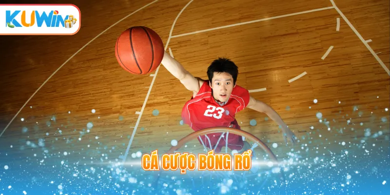cá cược bóng rổ