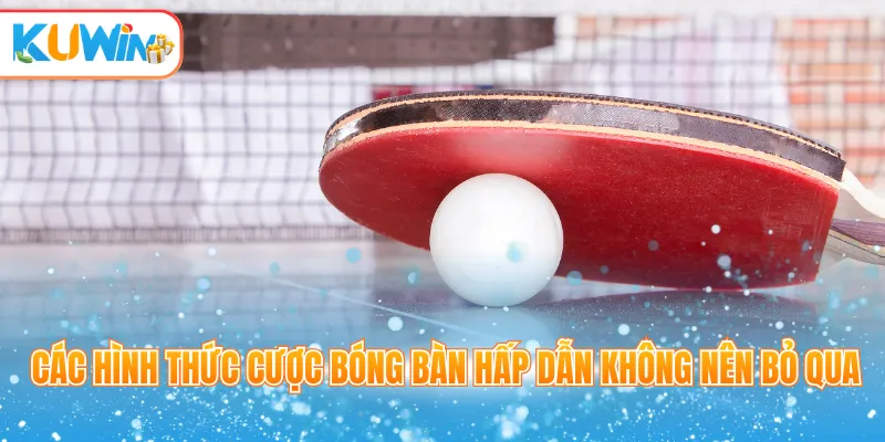 Các hình thức cược bóng bàn hấp dẫn không nên bỏ qua