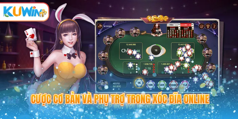 Cược cơ bản và phụ trợ trong xóc đĩa online