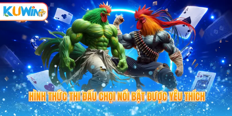 Hình thức thi đấu chọi nổi bật được yêu thích
